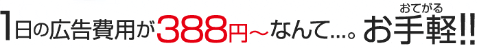 1日の広告費用が388円~なんて…。お手軽!!
