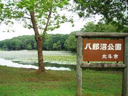 八郎沼公園